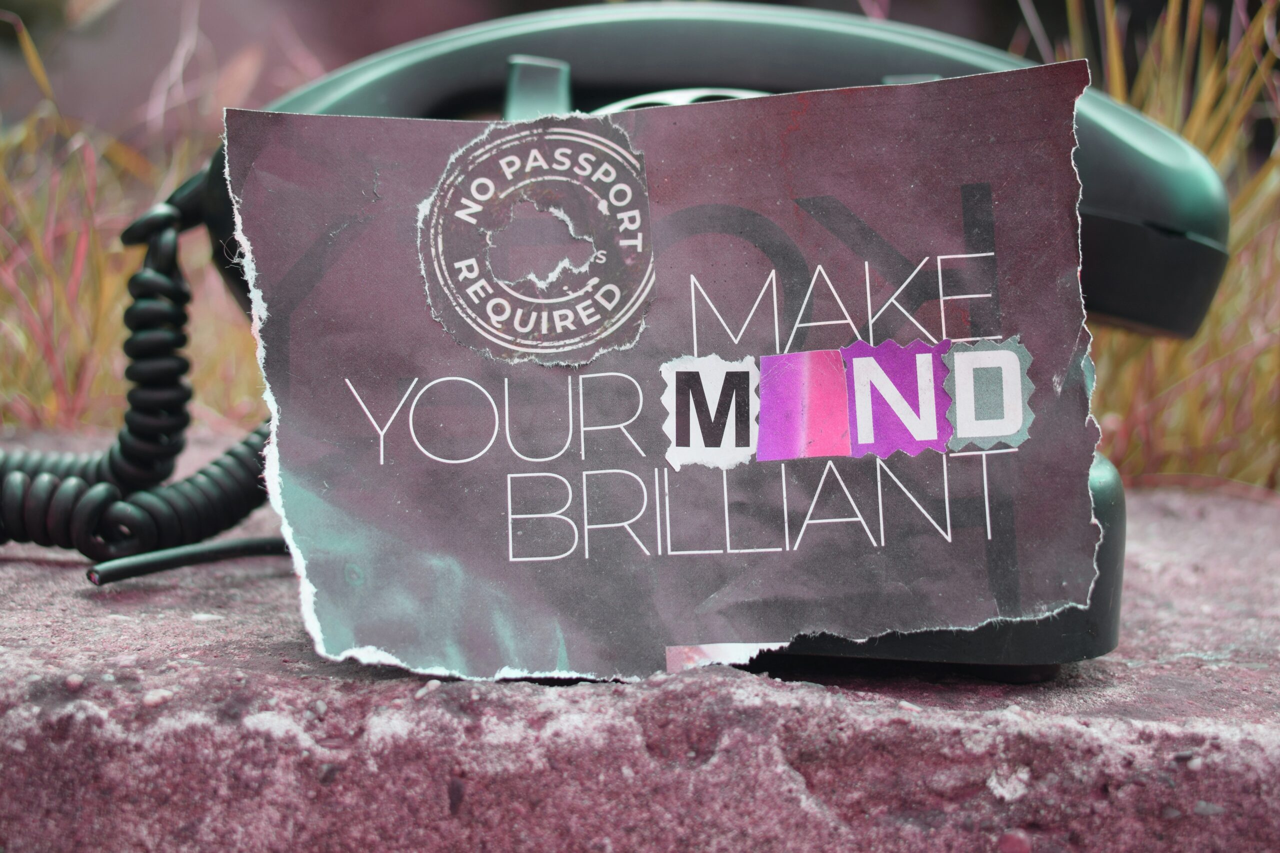 the-winning-mindset-a-practical-path-to-reaching-your-highest-potential